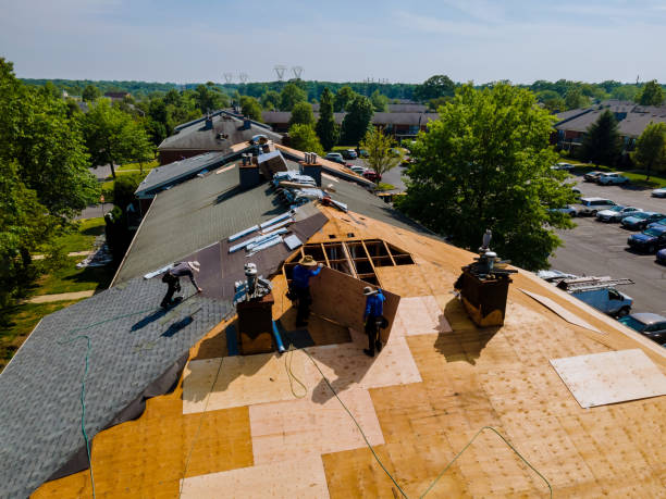 Residential Roof Replacement in East Lake, FL